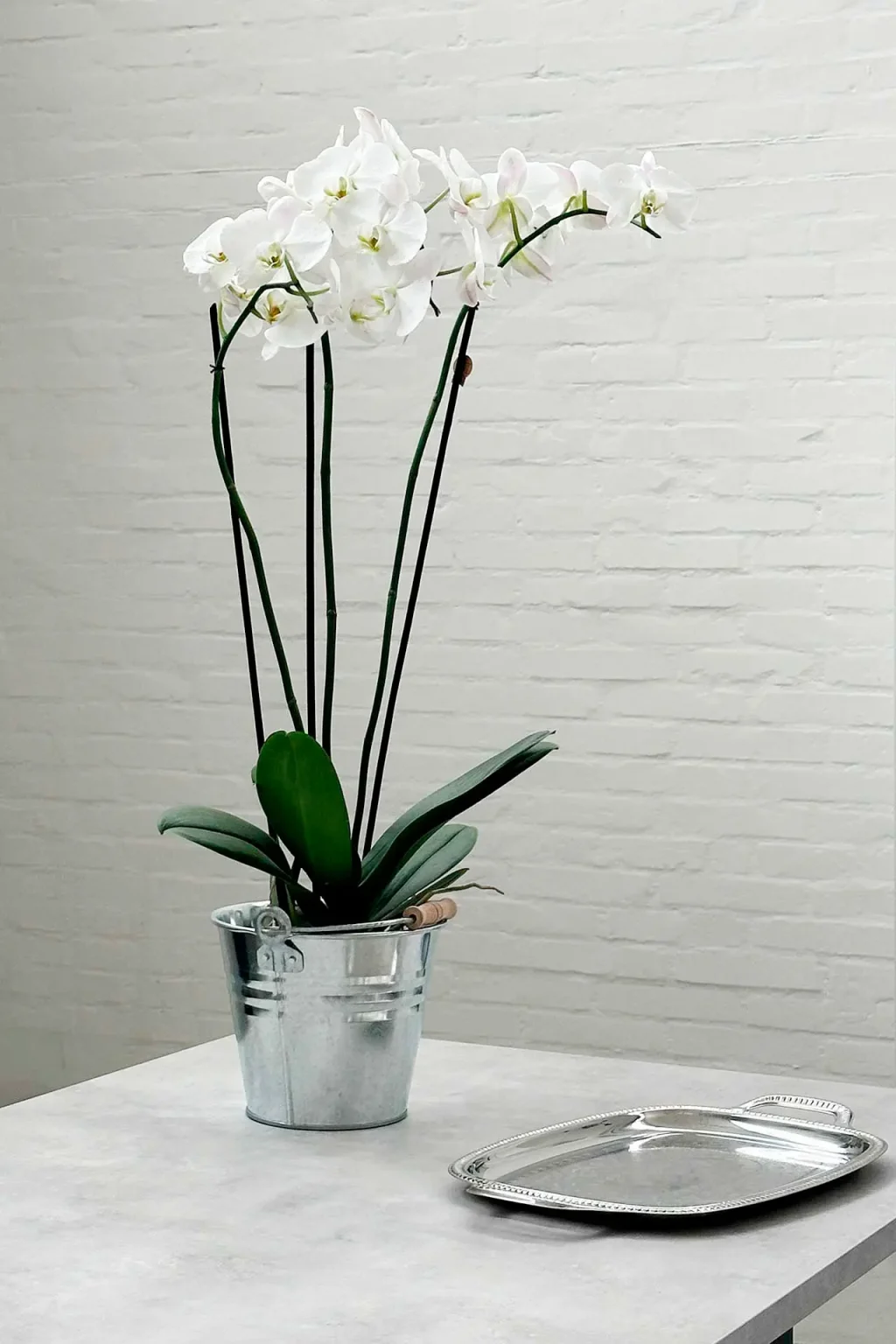 muretto-bianco-studio-loft-1