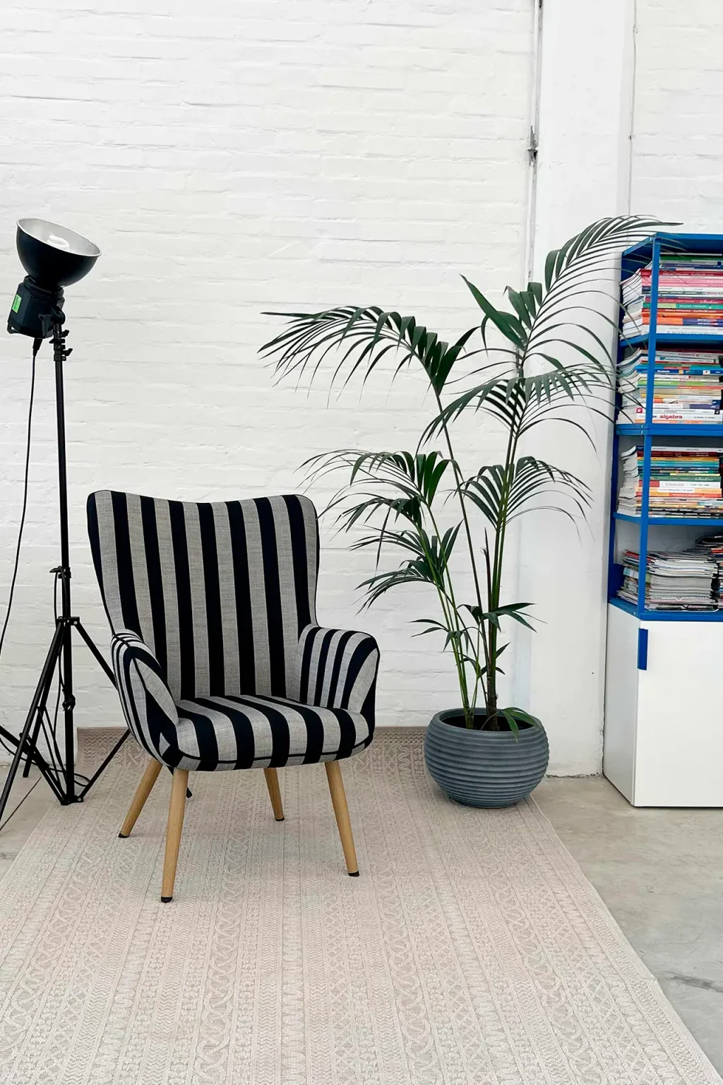 set-fotografico-bologna-location-eventi